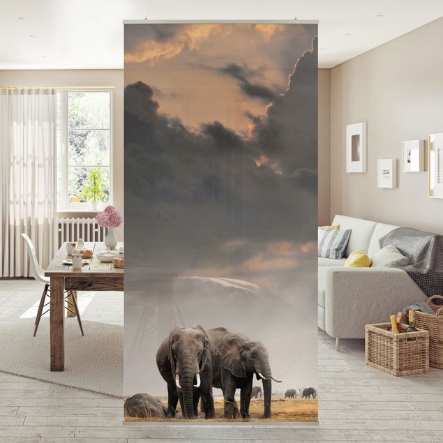 Raumteiler Vorhang Elefanten der Savanne