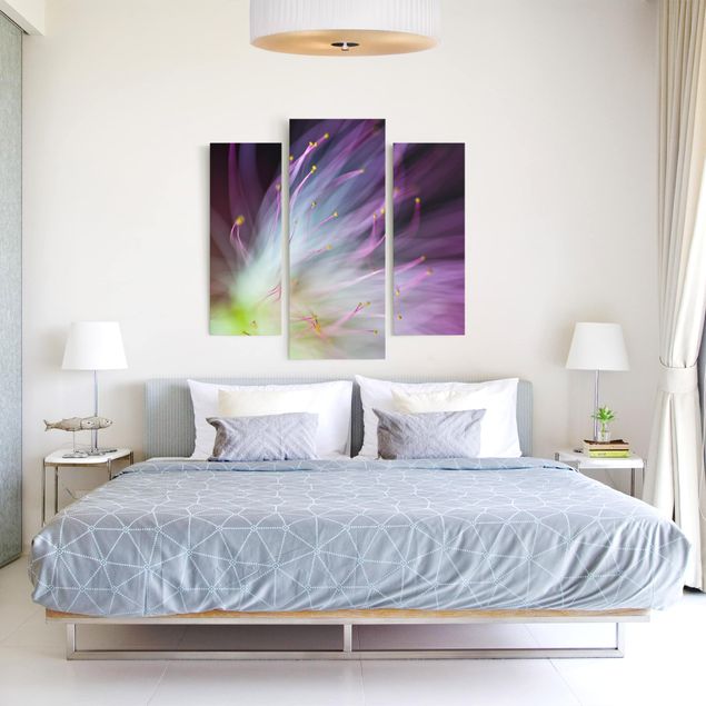 Moderne Leinwandbilder Wohnzimmer Blütenstaub