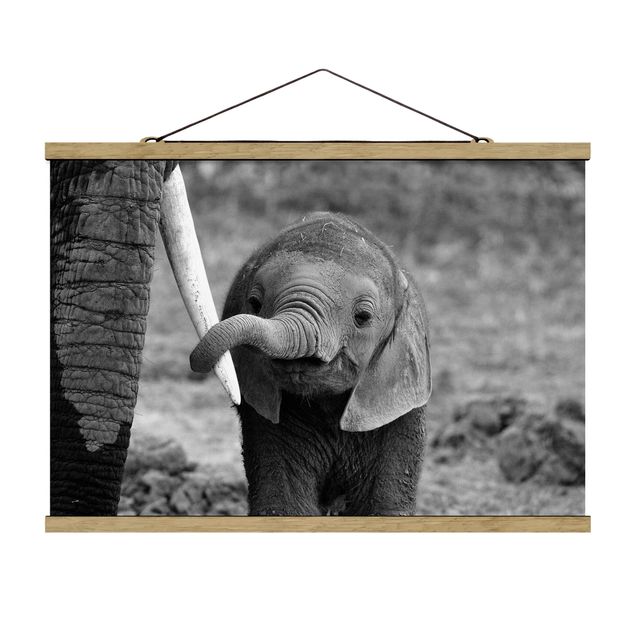 Stoffbild mit Posterleisten - Elefantenbaby - Querformat 3:2