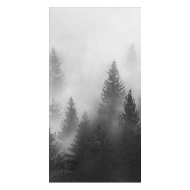 Duschrückwand - Nadelwald im Nebel Schwarz Weiß