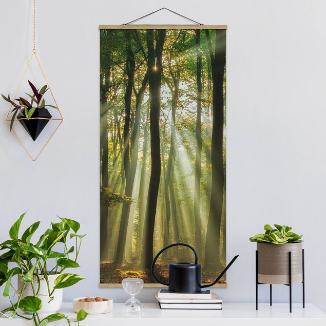 Wandbilder Sonnentag im Wald