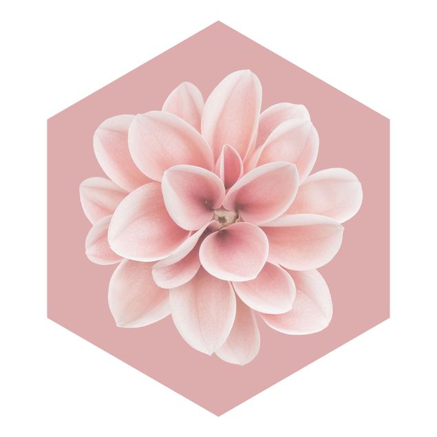 Wandtapete Design Dahlie auf Blush Rosa