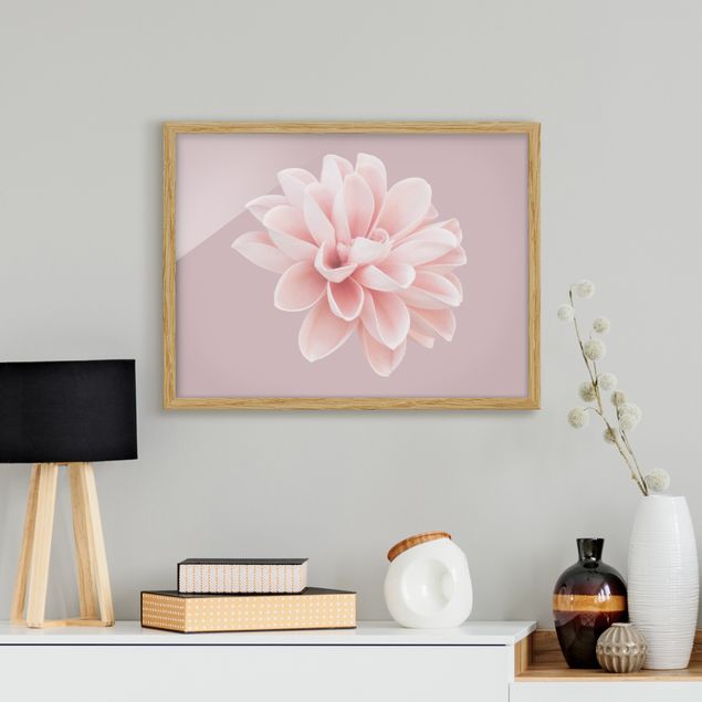 Wandbilder Dahlie Blume Lavendel Rosa Weiß