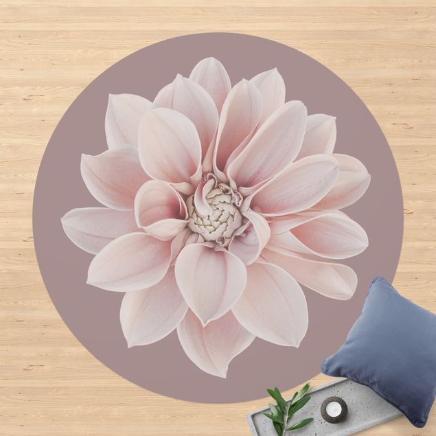 Teppiche Dahlie Blume Lavendel Weiß Rosa