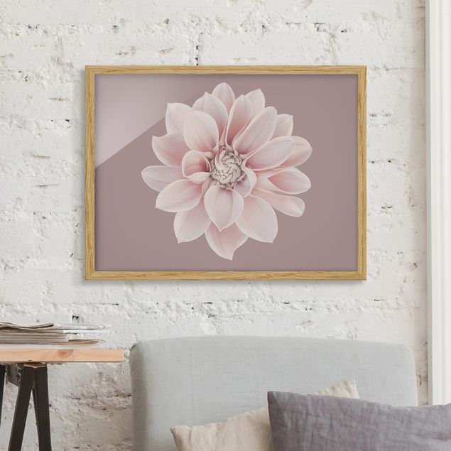 Blumen Bilder mit Rahmen Dahlie Blume Lavendel Weiß Rosa