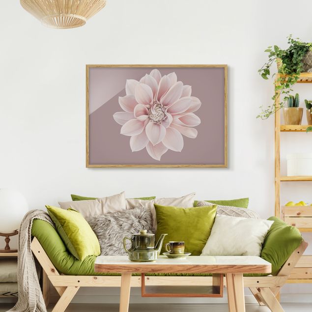 Wandbilder Dahlie Blume Lavendel Weiß Rosa