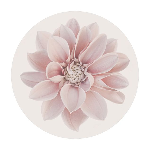 Teppich creme Dahlie Blume Pastell Weiß Rosa