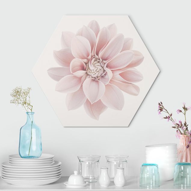 Bilder für die Wand Dahlie Blume Pastell Weiß Rosa