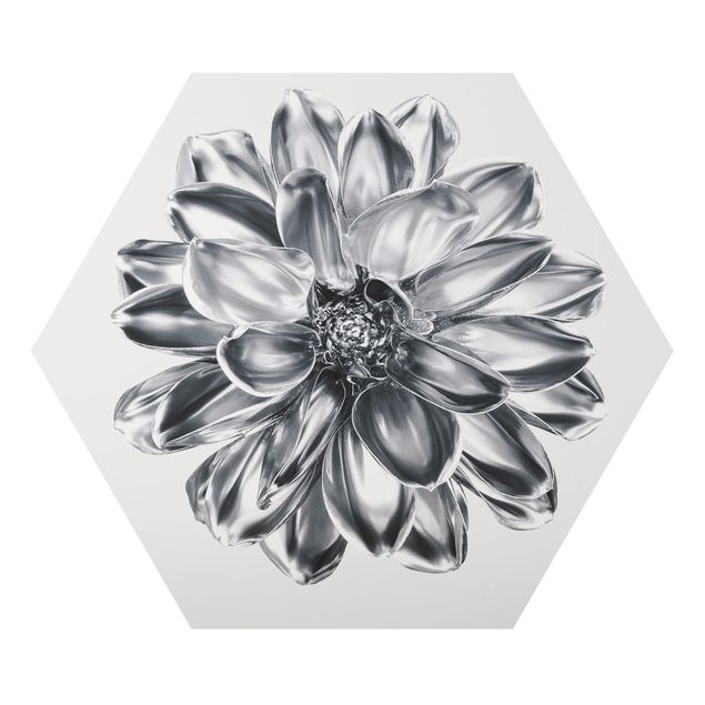 Hexagon-Alu-Dibond Bild - Dahlie Blume Silber Metallic