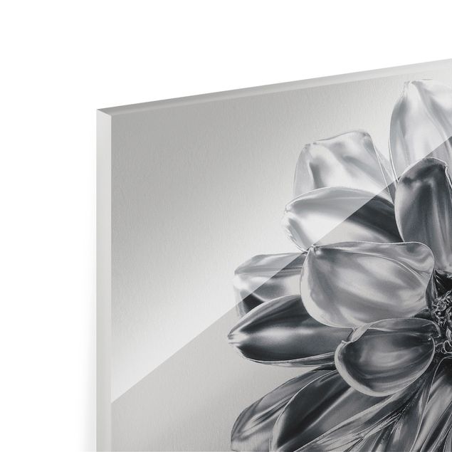 Glasbild - Dahlie Blume Silber Metallic - Querformat 4:3