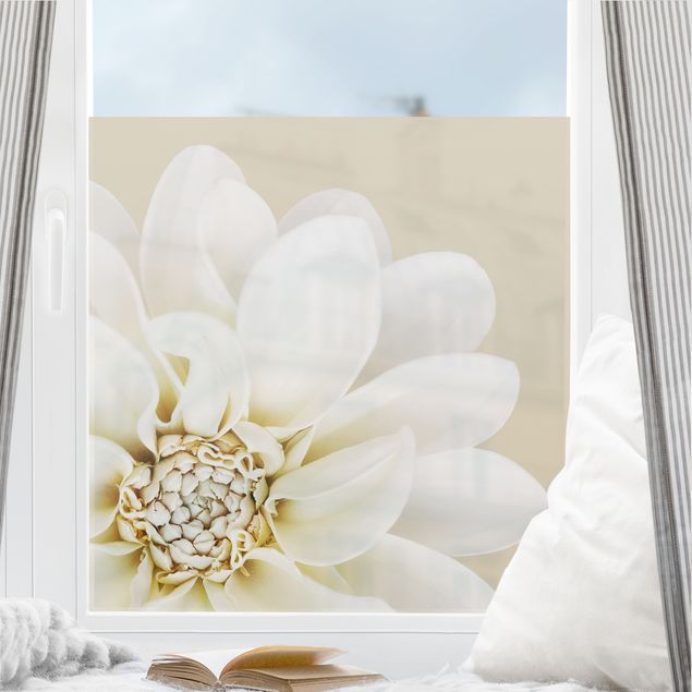 Fensterbilder Blumen Dahlie in Hellgelb