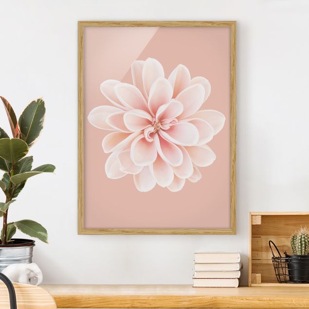 Blumen Bilder mit Rahmen Dahlie Rosa Pastell Weiß Zentriert