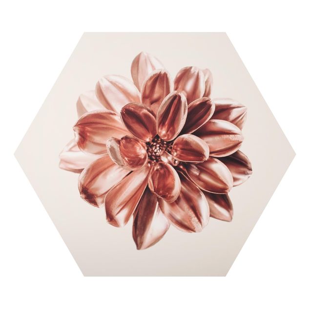 Hexagon-Alu-Dibond Bild - Dahlie Rosegold Metallic Rosa