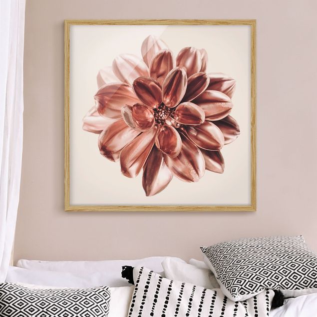 Bilder mit Rahmen Blumen Dahlie Rosegold Rosa Zentriert