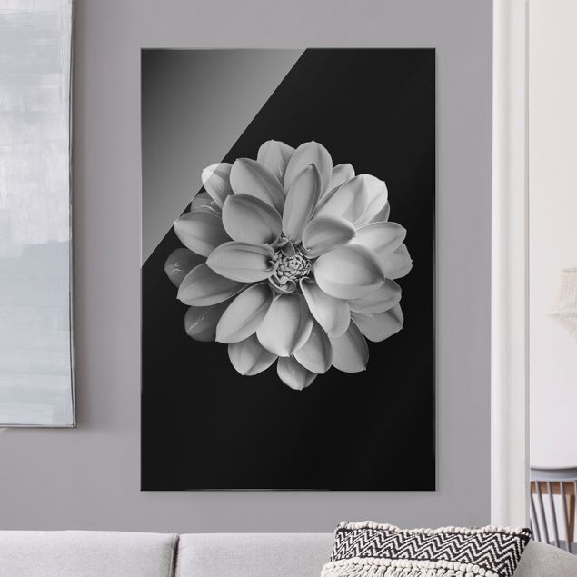 Glasbild Blumen Dahlie Schwarz Weiß