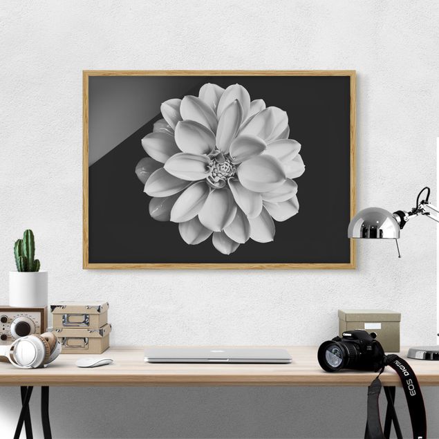 Gerahmte Bilder Blumen Dahlie Schwarz Weiß