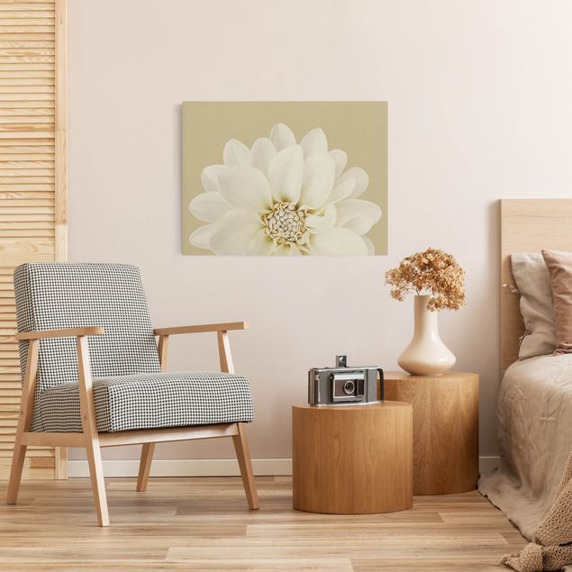 Leinwandbilder Wohnzimmer modern Dahlie Weiß Pastell Sandfarben