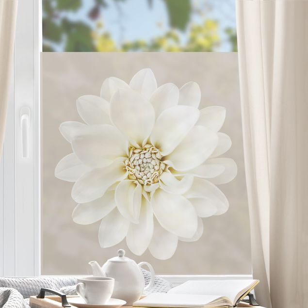 Blumen Fensterbilder Dahlie Weiß Taupe Pastell Zentriert