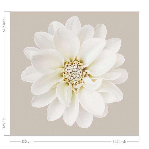 Blumenvorhänge Dahlie Weiß Taupe Pastell Zentriert