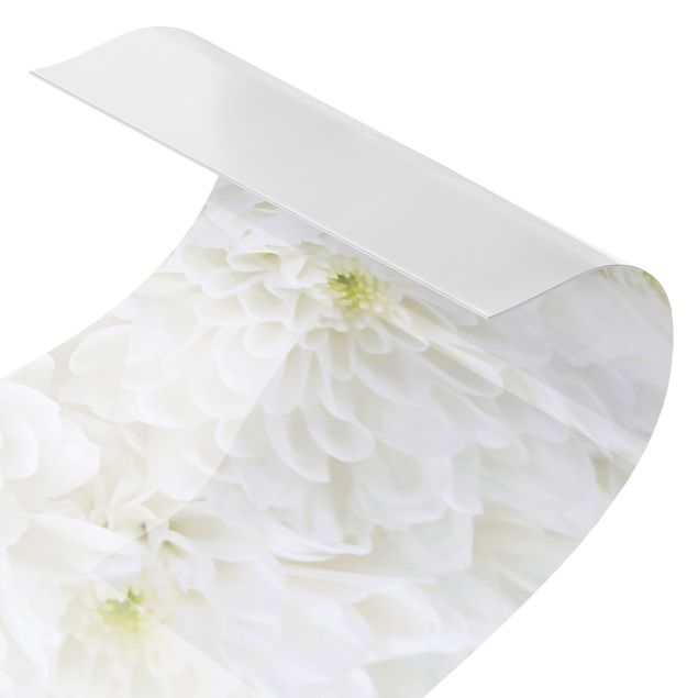 Spritzschutz Dahlien Blumenmeer weiß