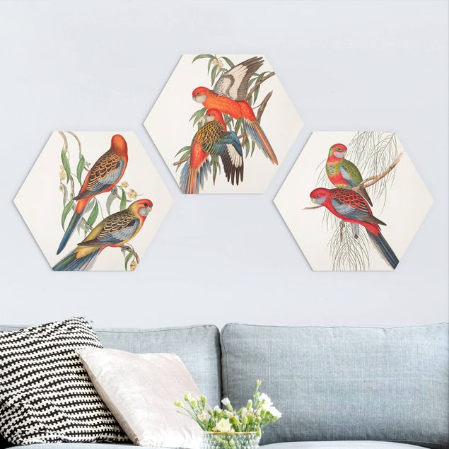 Wandbilder Tiere Tropische Papageien Set I