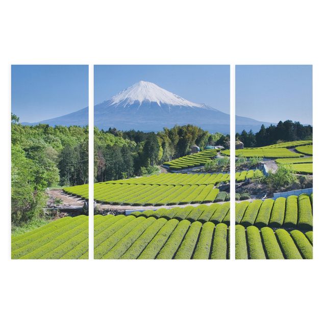 Bilder für die Wand Teefelder vor dem Fuji