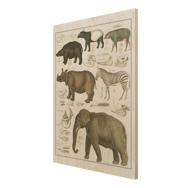 Holzbilder modern Vintage Lehrtafel Elefant, Zebra und Nashorn