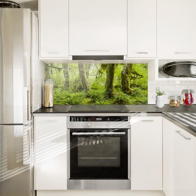 Küchenrückwand Glas Wald Hall of Mosses Olympic National Park