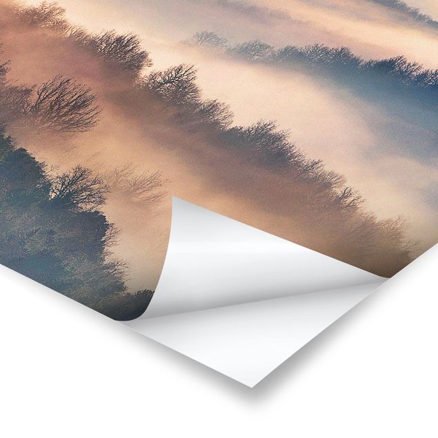 Poster - Nebel bei Sonnenuntergang - Quadrat 1:1