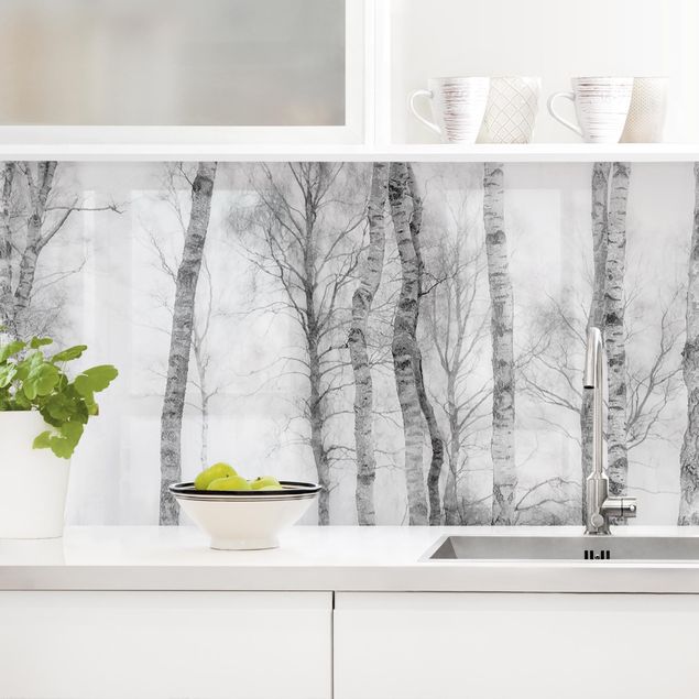 Küchenrückwände Platte Mystischer Birkenwald Schwarz-weiß