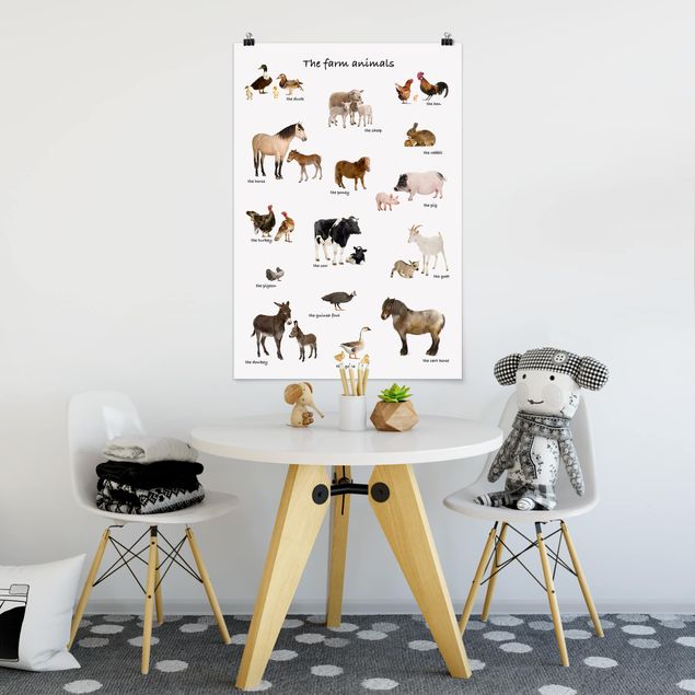Poster Illustration Farm Animals