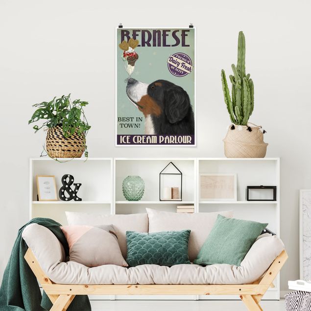 Poster Illustration Berner Sennenhund mit Eis