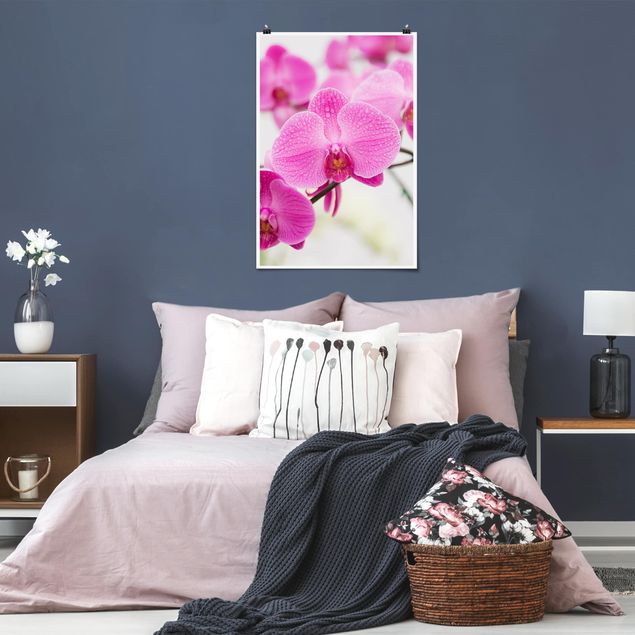 Poster Nahaufnahme Orchidee