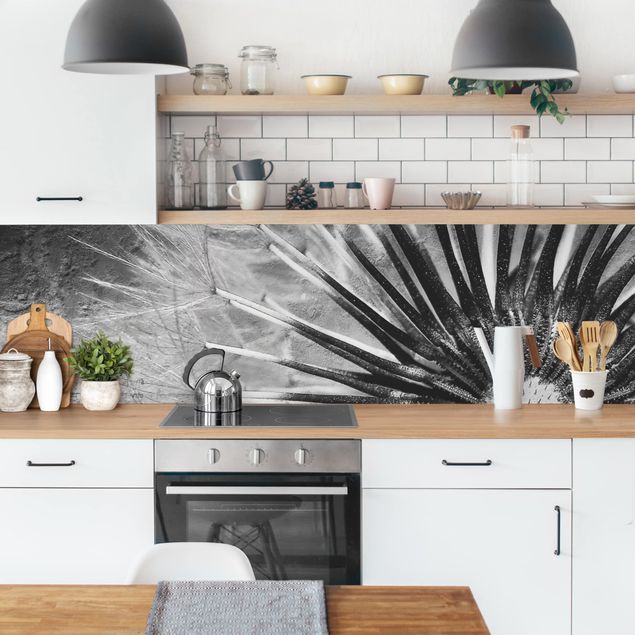 Küchenrückwand Gräser Pusteblume Schwarz & Weiß