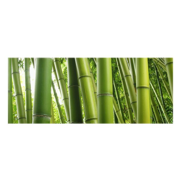 Küchenspritzschutz Bamboo Trees