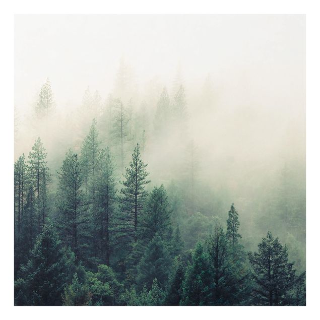 Spritzschutz Glas - Wald im Nebel Erwachen - Quadrat 1:1