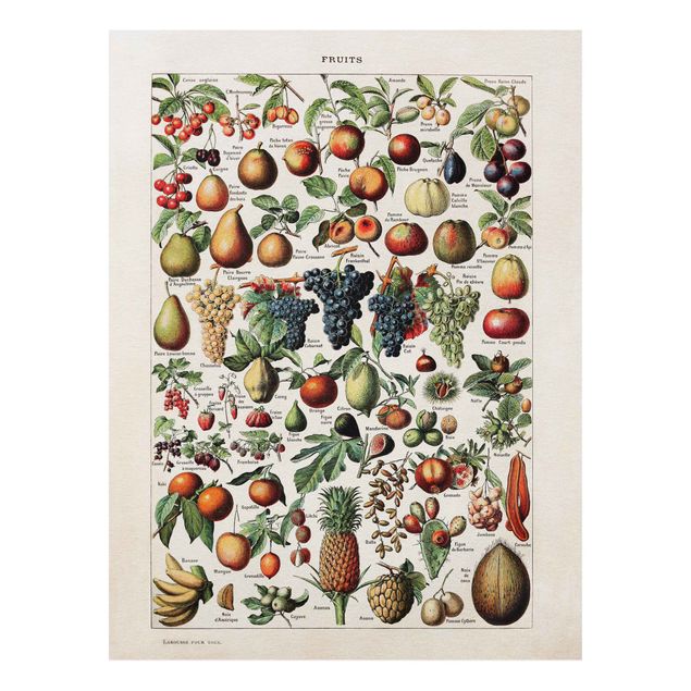 Schöne Wandbilder Vintage Lehrtafel Früchte