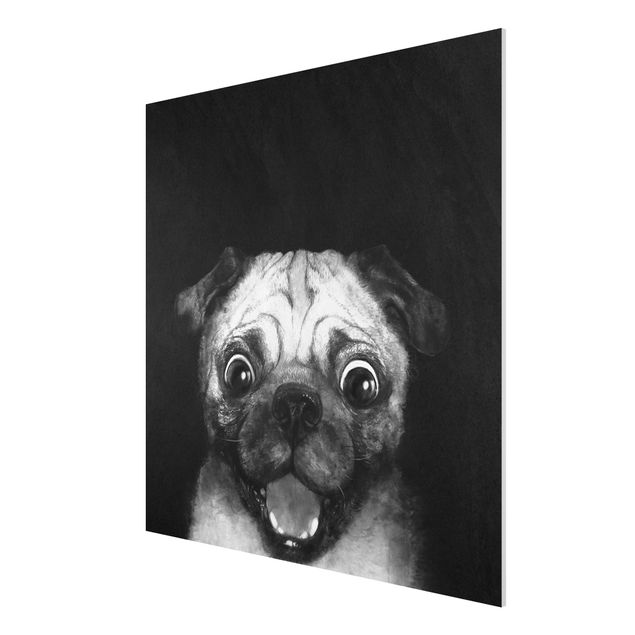 Forex Fine Art Print - Illustration Hund Mops Malerei auf Schwarz Weiß - Quadrat 1:1