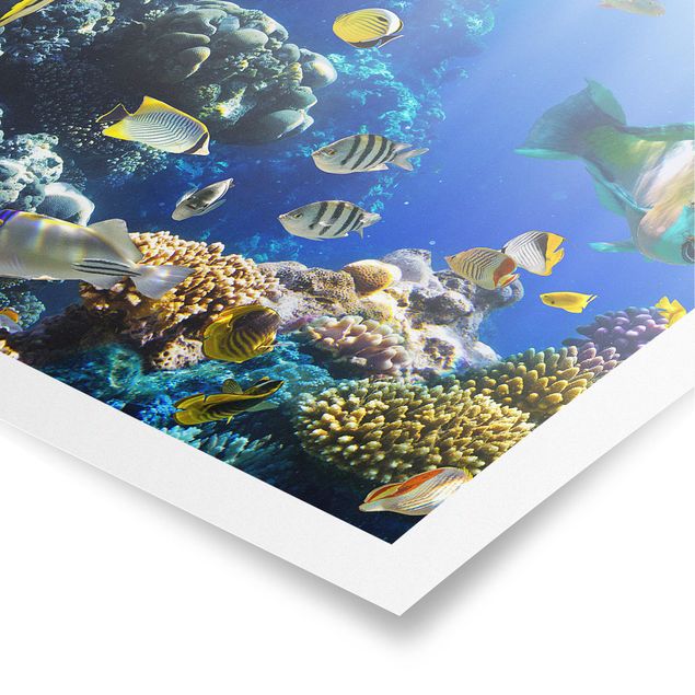 Bilder für die Wand Underwater Reef