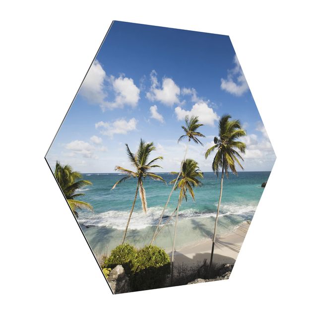 Hexagon Bild Alu-Dibond - Beach of Barbados