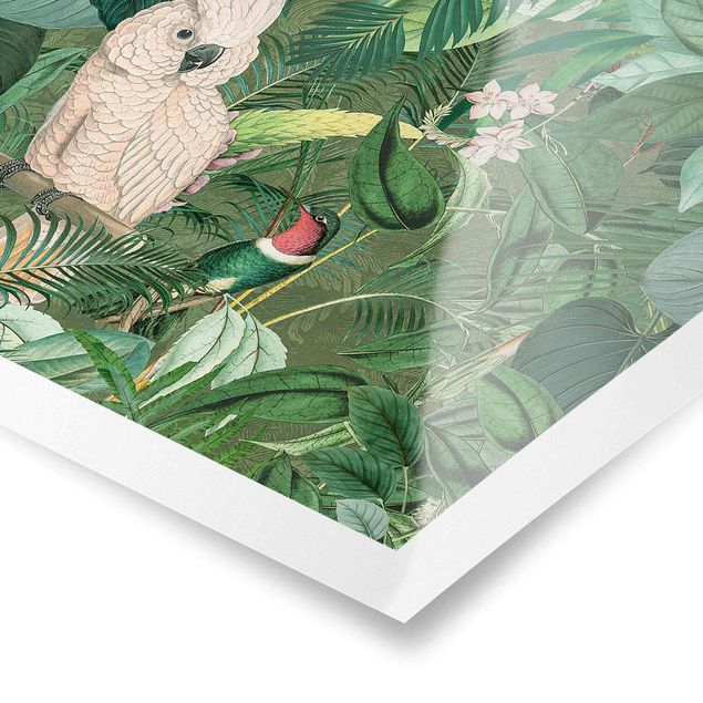 Poster Vintage Collage - Kakadu und Kolibri
