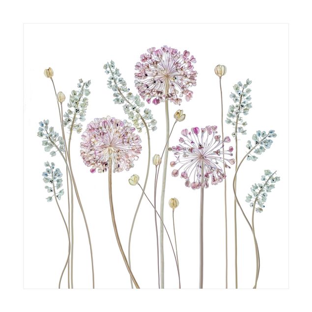 Teppich Blumen Allium Illustration