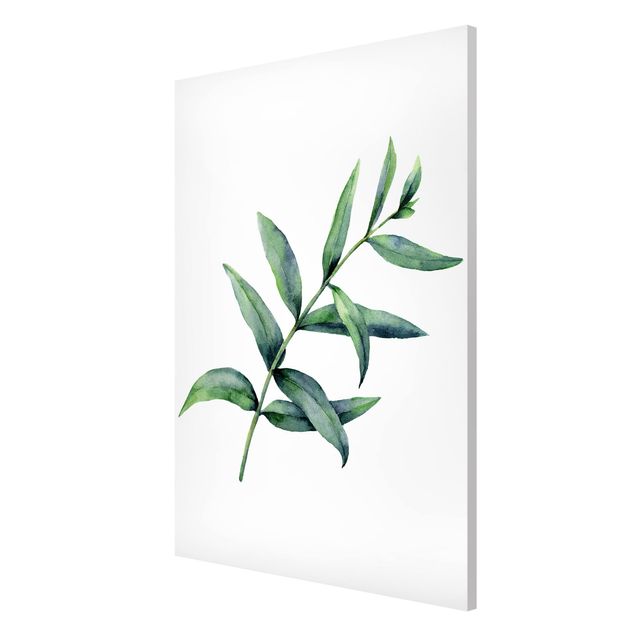 Bilder für die Wand Aquarell Eucalyptus I