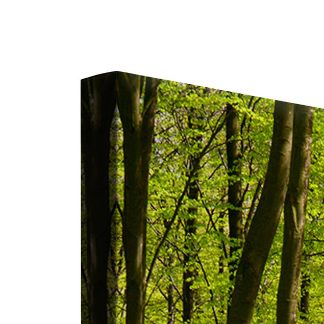 Leinwandbild 5-teilig - Waldwiese