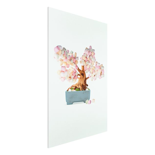Foto auf Hartschaumplatte Bonsai mit Marshmallows