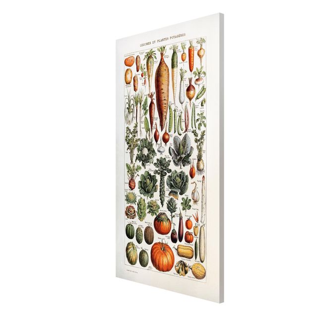 Bilder für die Wand Vintage Lehrtafel Gemüse