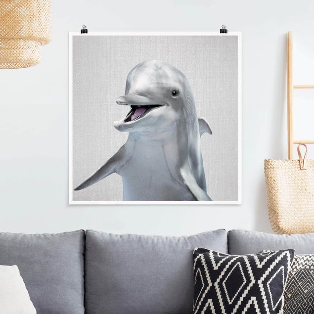 Wandbilder Tiere Delfin Diddi