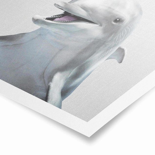 Wandbilder Delfin Diddi