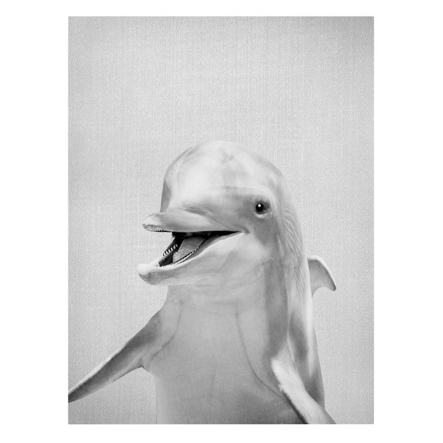 Leinwandbilder Tier Delfin Diddi Schwarz Weiß
