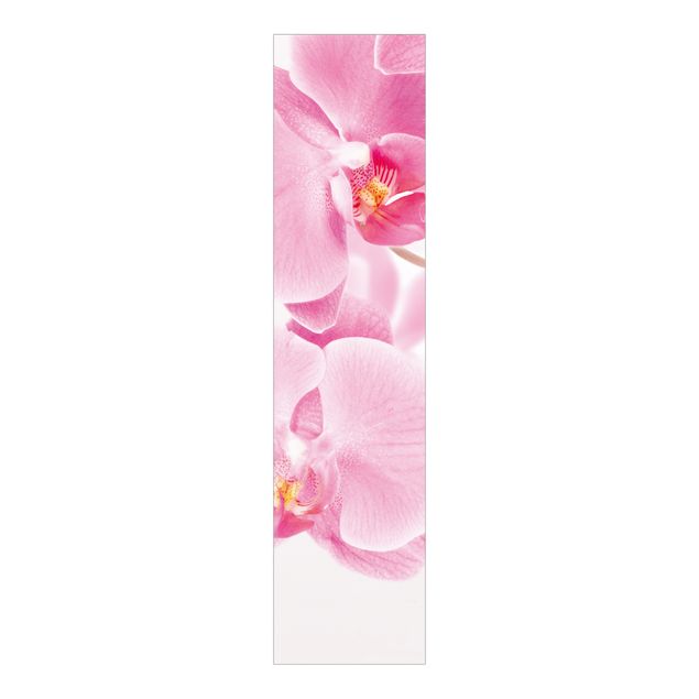 Schiebegardinen mit Motiv 3-teilig Delicate Orchids
